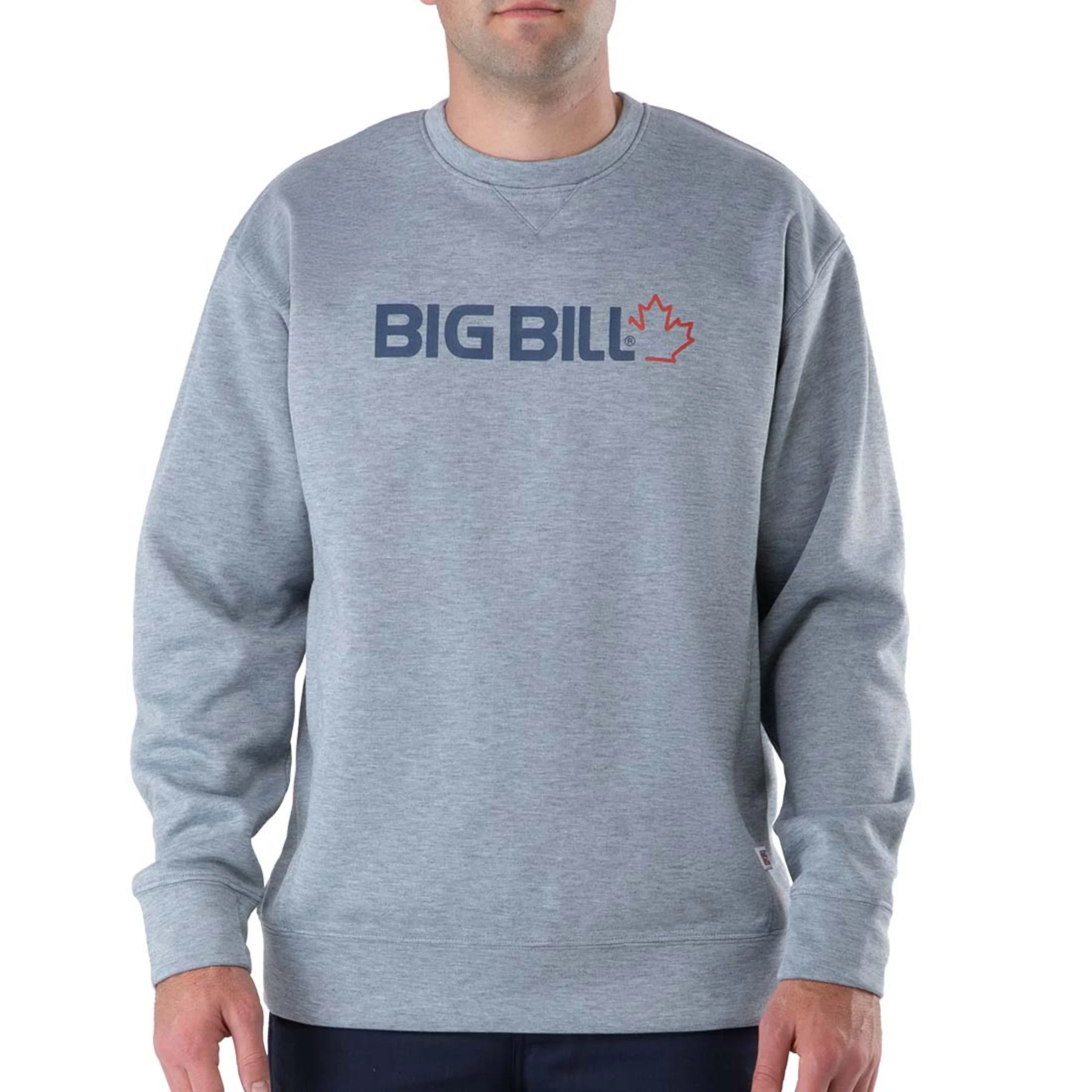 Technical Fleece Crewneck with Graphic Logo - Gray - Image 3